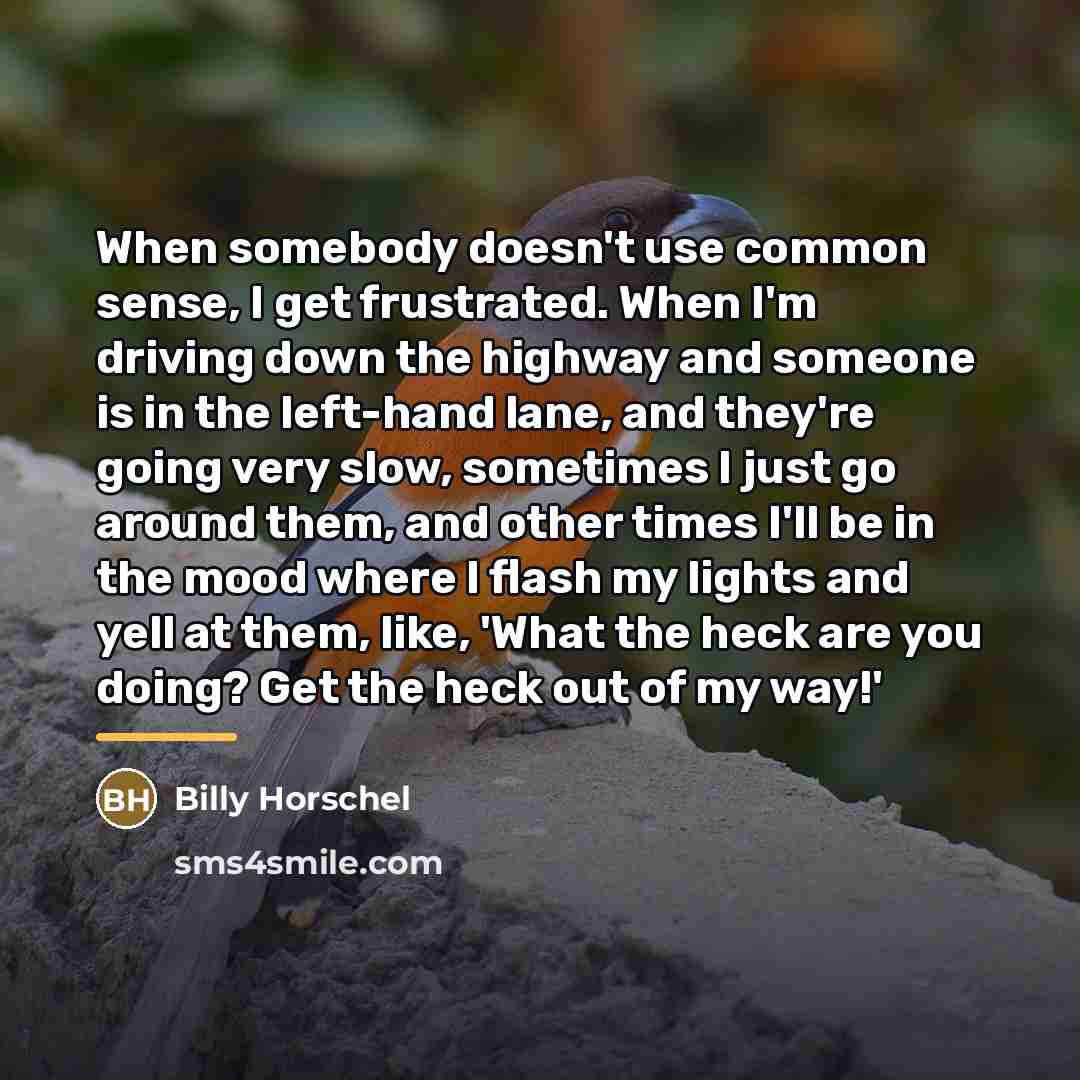 “When somebody doesn't use common sense, I get frustrated. When…” quote by Billy Horschel