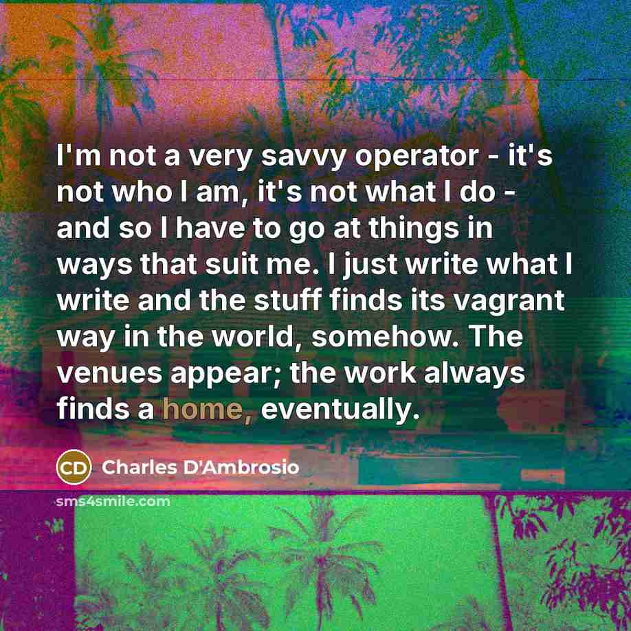 “I'm not a very savvy operator - it's not who…” quote by Charles D'Ambrosio