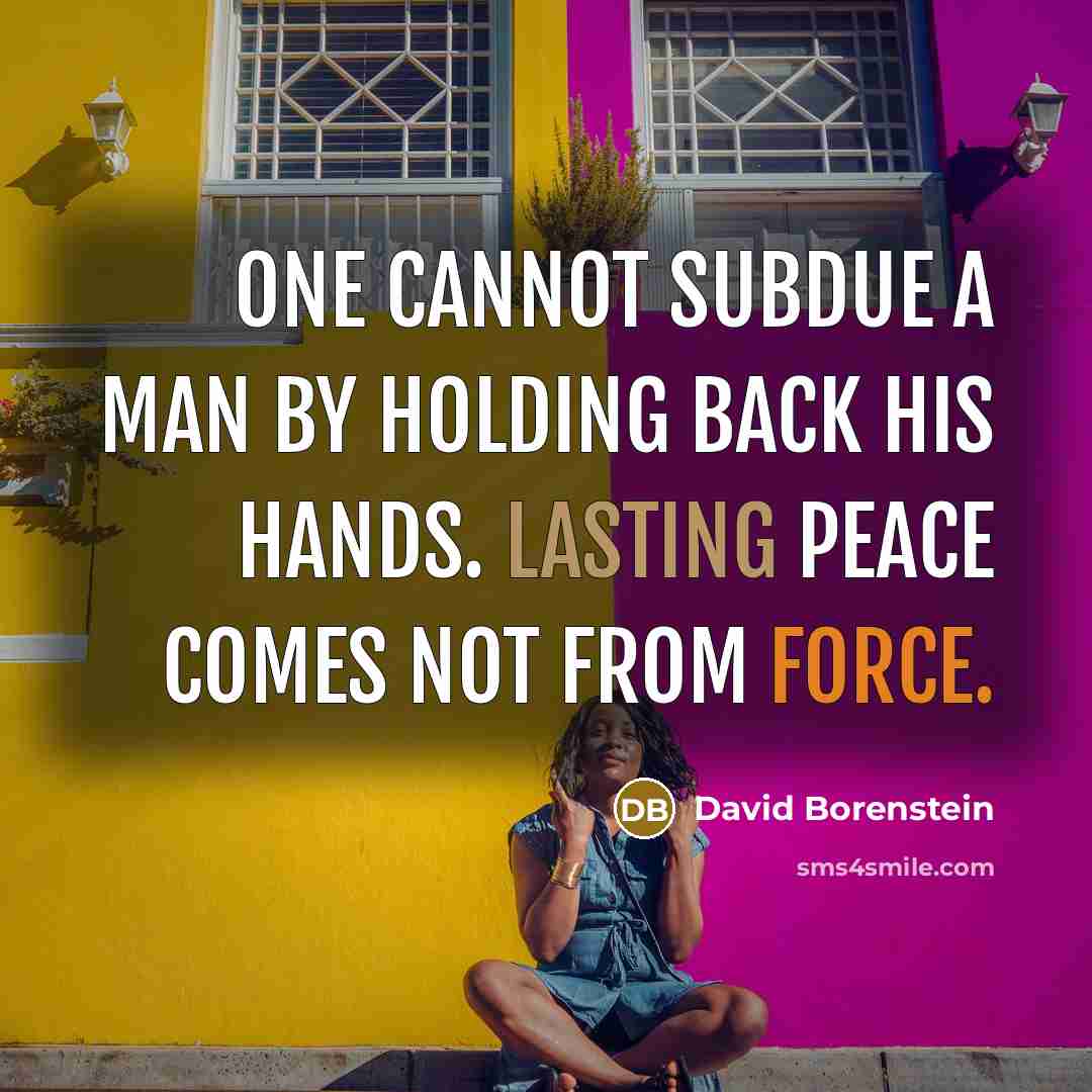 “One cannot subdue a man by holding back his hands. Lasting peace comes not from force.” quote by David Borenstein