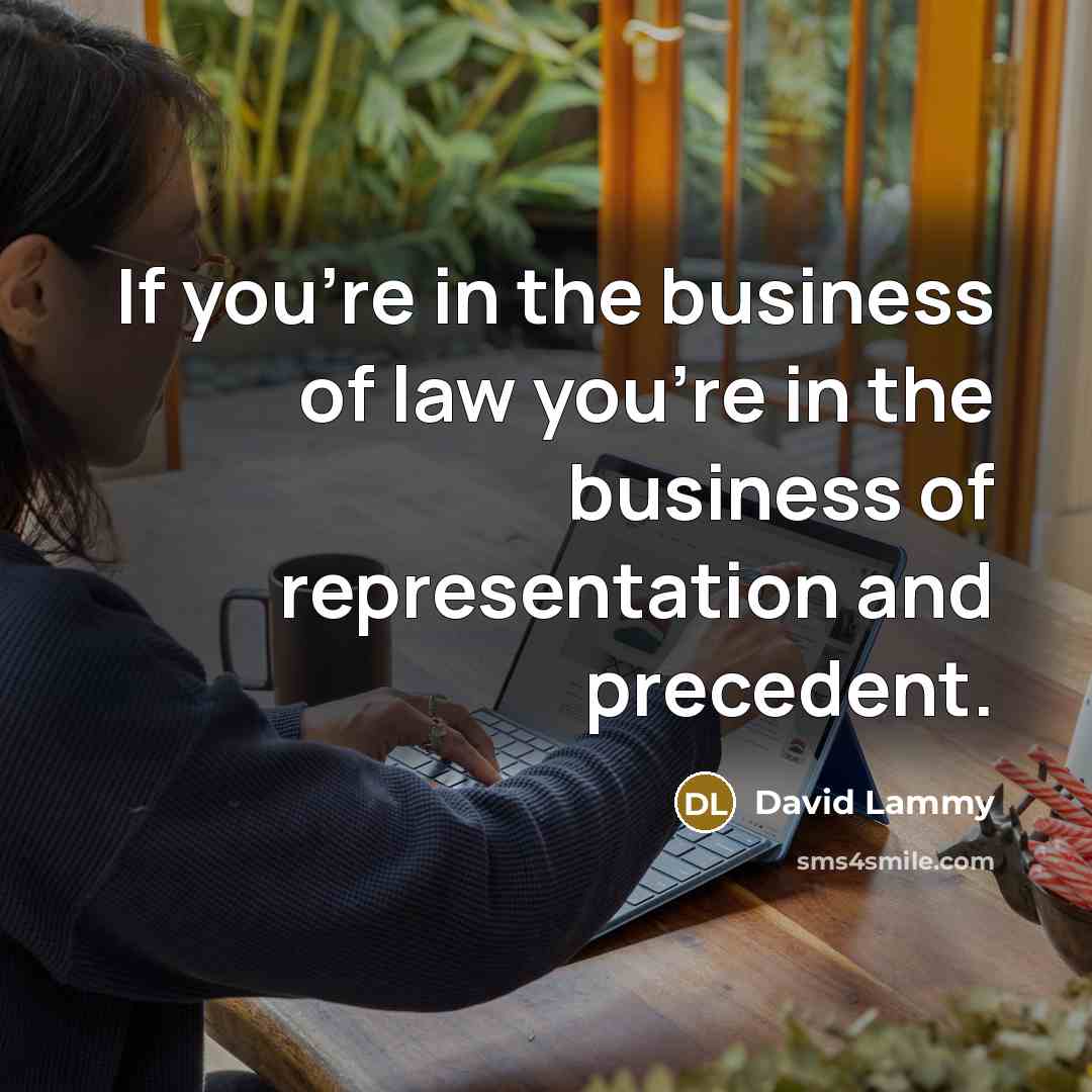 “If you're in the business of law you're in the…” quote by David Lammy