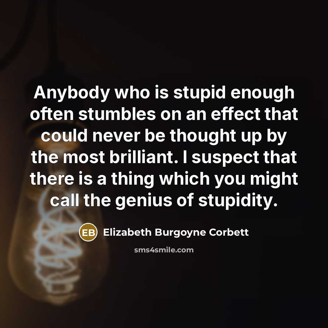 “Anybody who is stupid enough often stumbles on an effect…” quote by Elizabeth Burgoyne Corbett