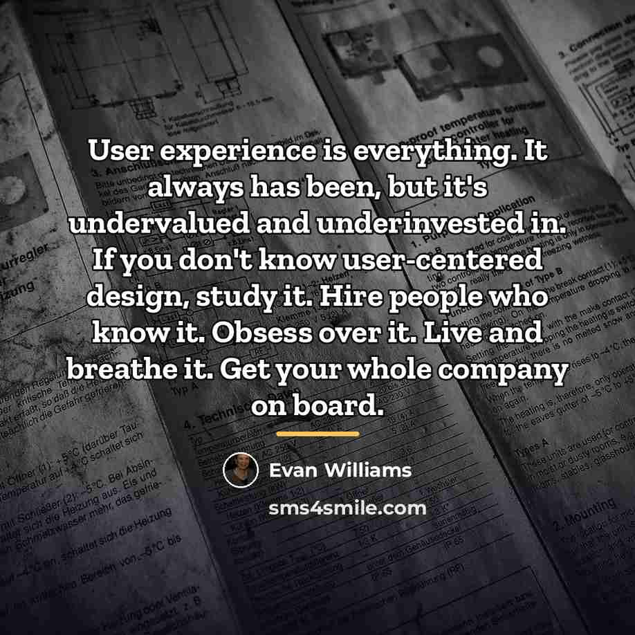 “User experience is everything. It always has been, but it's…” quote by Evan Williams