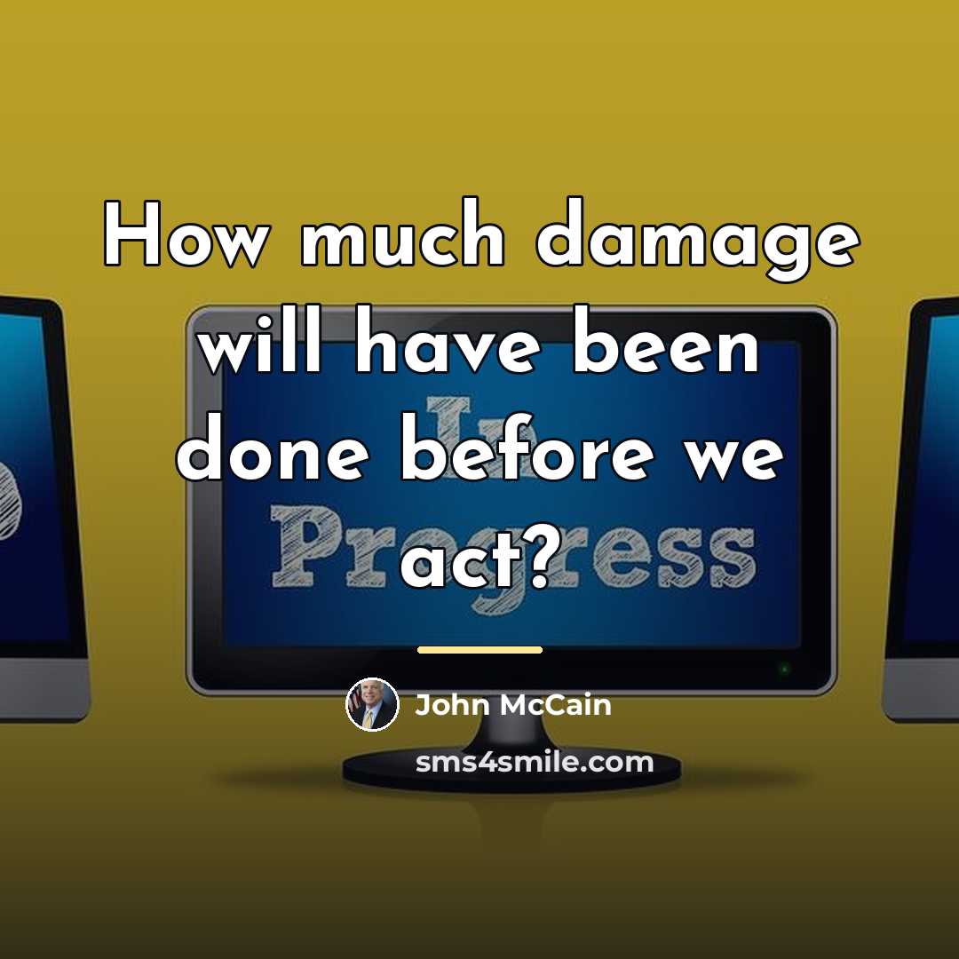 “How much damage will have been done before we act?…” quote by John McCain