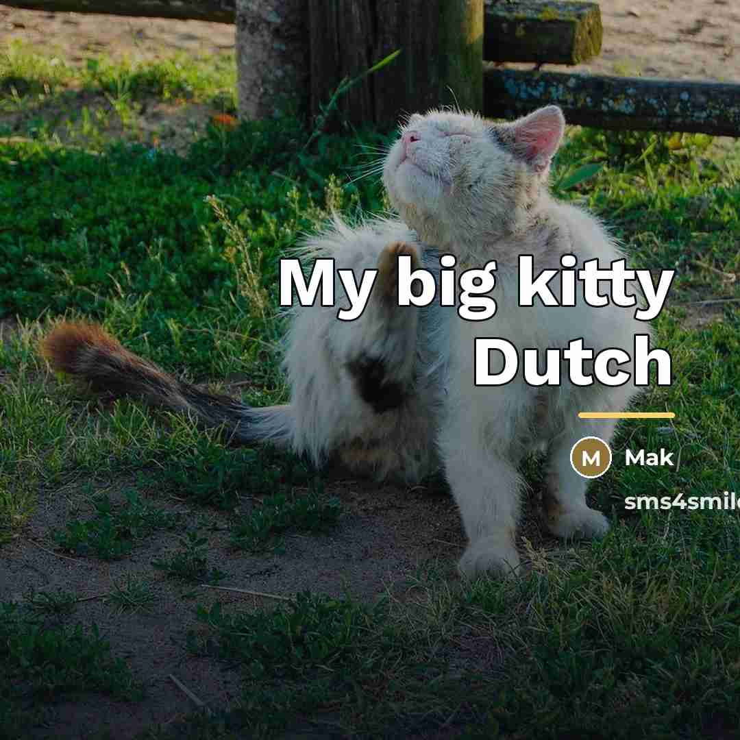 “My big kitty Dutch…” quote by Mak