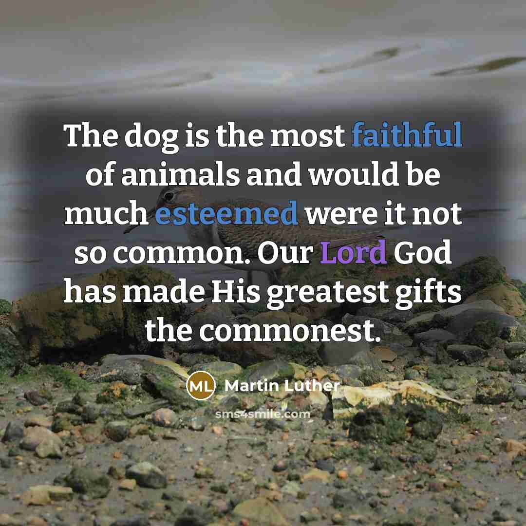 “The dog is the most faithful of animals and would…” quote by Martin Luther
