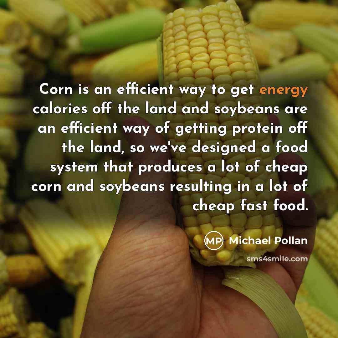 “Corn is an efficient way to get energy calories off…” quote by Michael Pollan