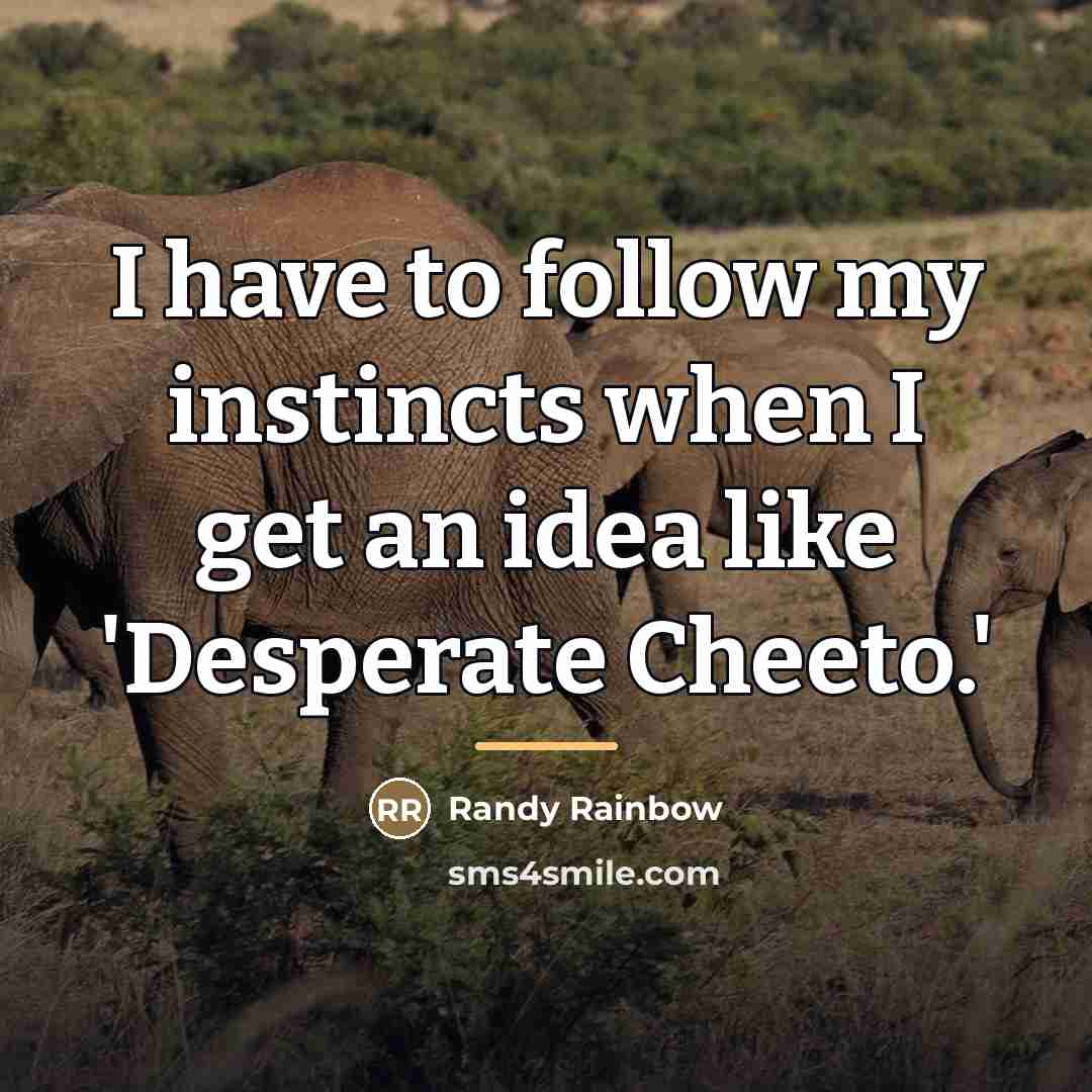 “I have to follow my instincts when I get an…” quote by Randy Rainbow