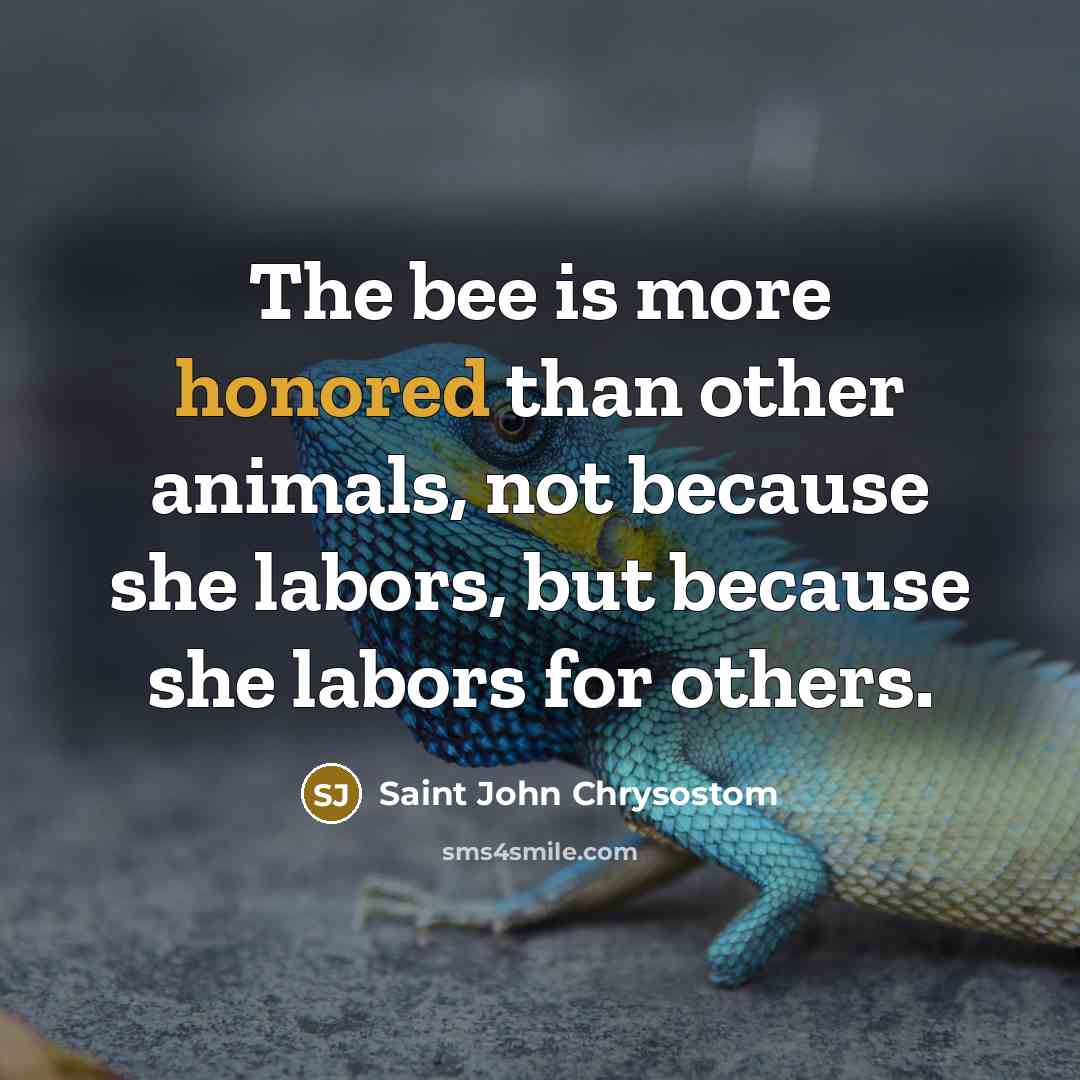 “The bee is more honored than other animals, not because…” quote by Saint John Chrysostom