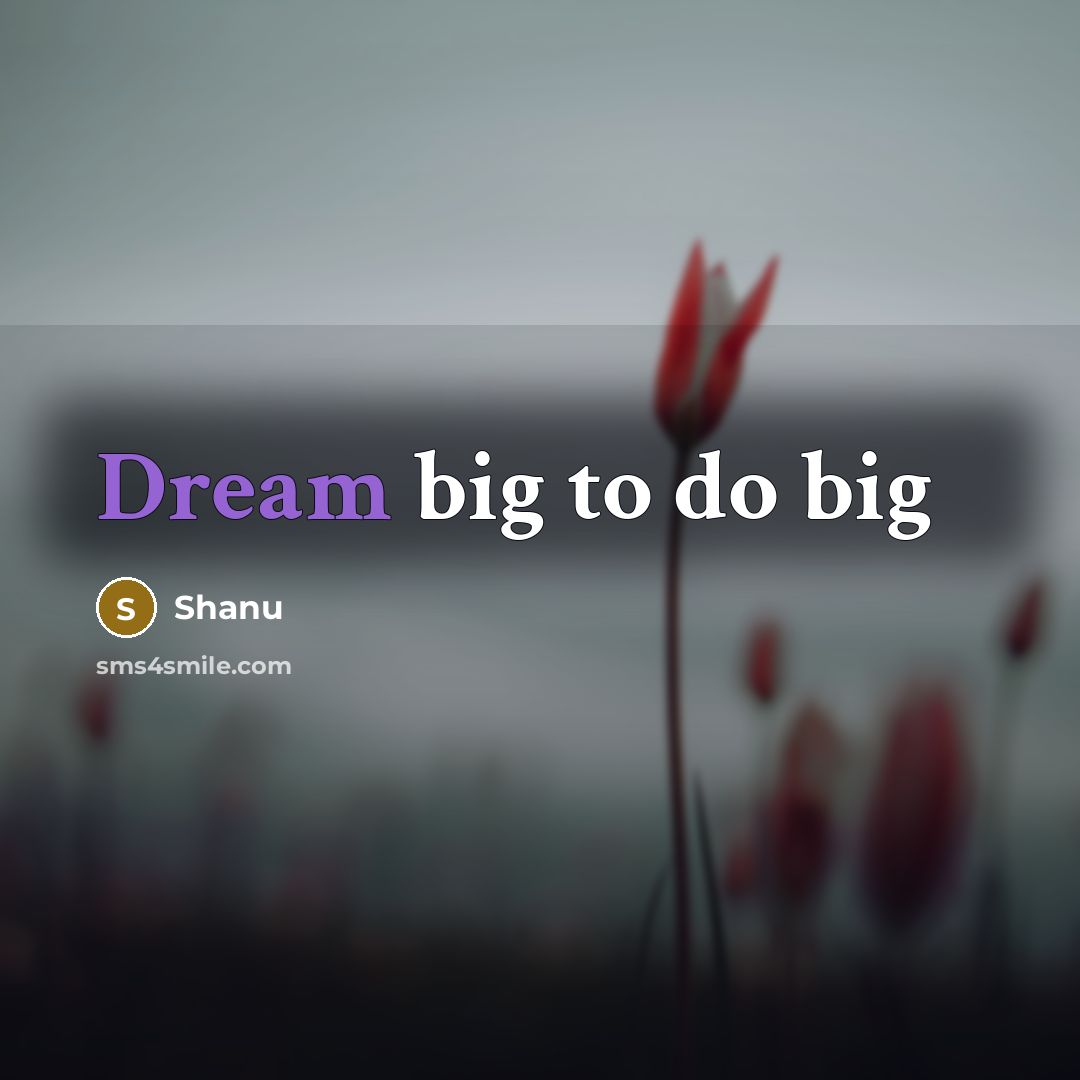“Dream big to do big” quote by Shanu