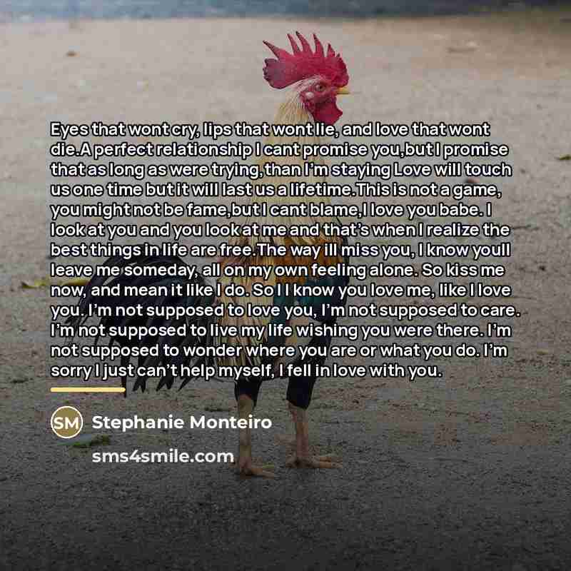 “Eyes that wont cry, lips that wont lie, and love…” quote by Stephanie Monteiro