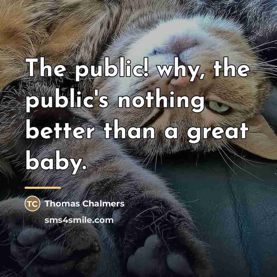 “The public! why, the public's nothing better than a great…” quote by Thomas Chalmers