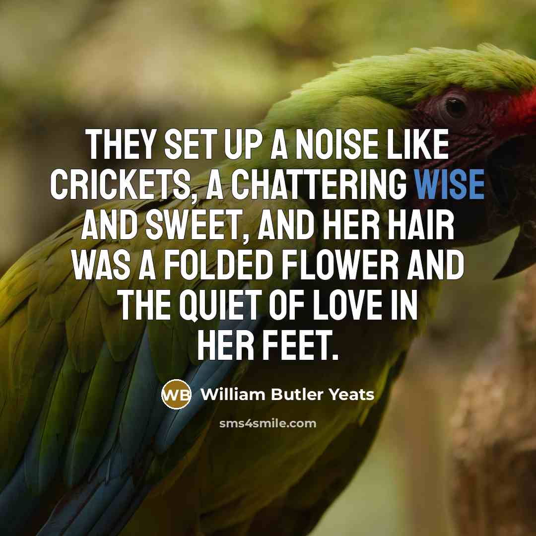 “They set up a noise like crickets, A chattering wise…” quote by William Butler Yeats