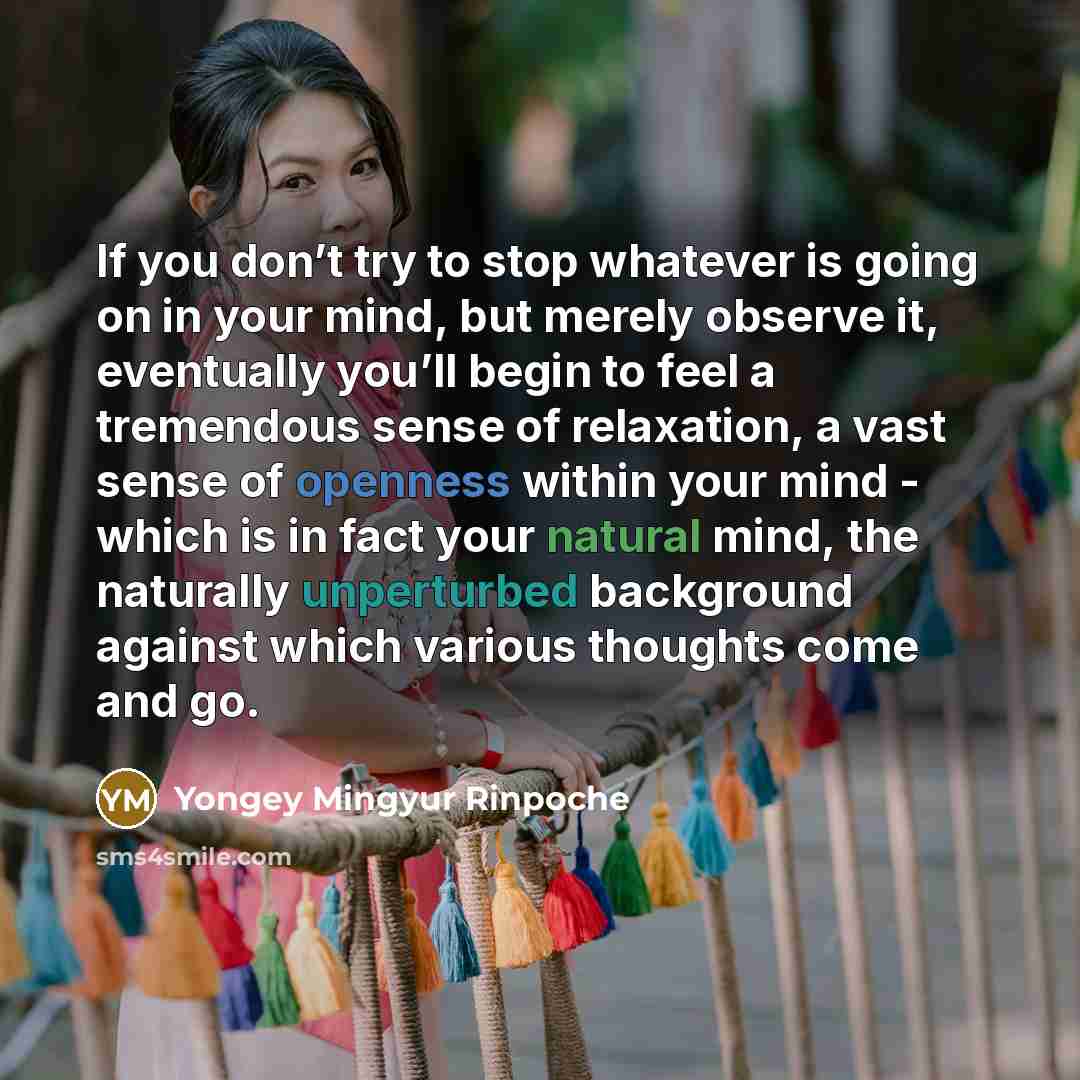 “If you don’t try to stop whatever is going on…” quote by Yongey Mingyur Rinpoche