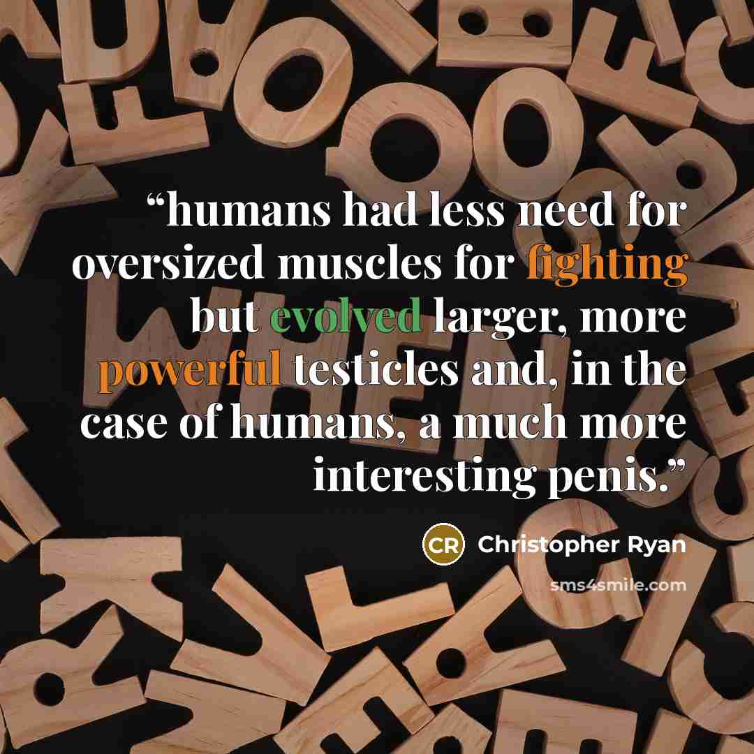 “humans had less need for oversized muscles for fighting but evolved larger, more powerful testicles and, in the case of humans, a much more interesting penis.” quote by Christopher Ryan