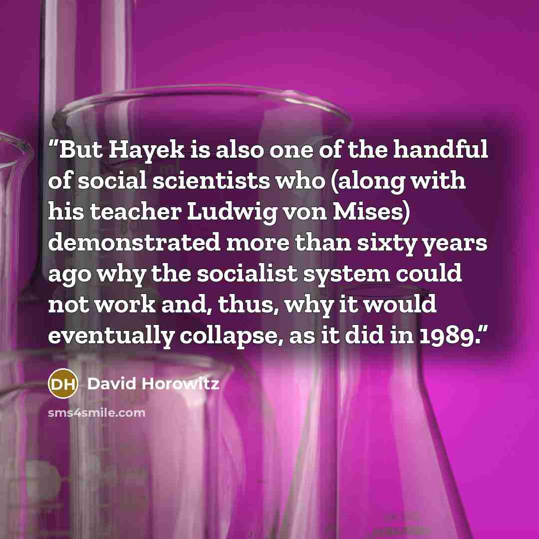 “But Hayek is also one of the handful of social scientists who (along with his teacher Ludwig von Mises) demonstrated more than sixty years ago why the socialist system could not work and, thus, why it would eventually collapse, as it did in 1989.” quote by David Horowitz
