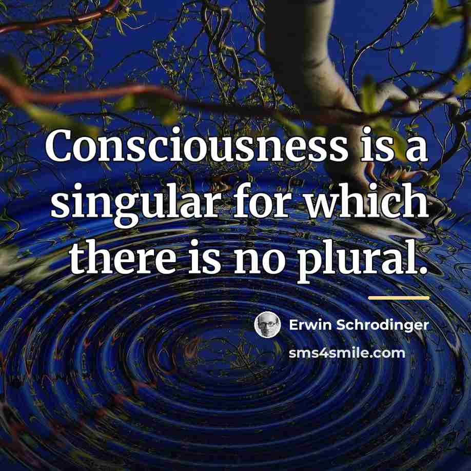 “Consciousness is a singular for which there is no plural.…” quote by Erwin Schrodinger