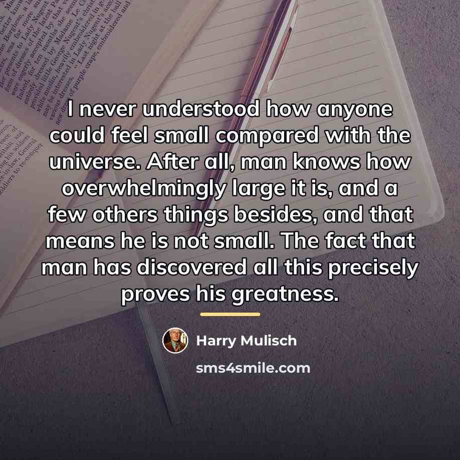 “I never understood how anyone could feel small compared with…” quote by Harry Mulisch