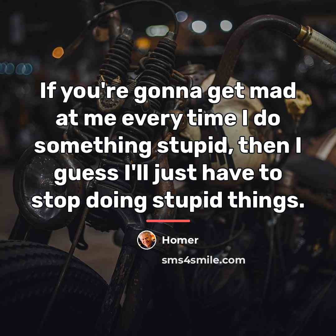 “If you're gonna get mad at me every time I…” quote by Homer