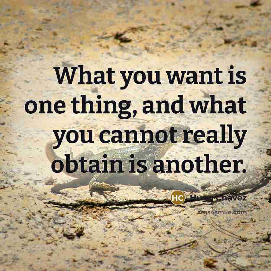 “What you want is one thing, and what you cannot…” quote by Hugo Chavez