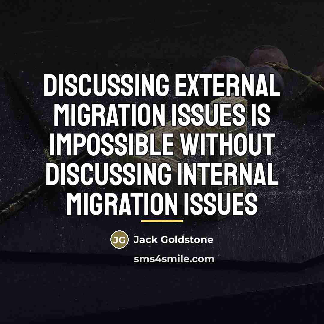 “Discussing external migration issues is impossible without discussing internal migration…” quote by Jack Goldstone