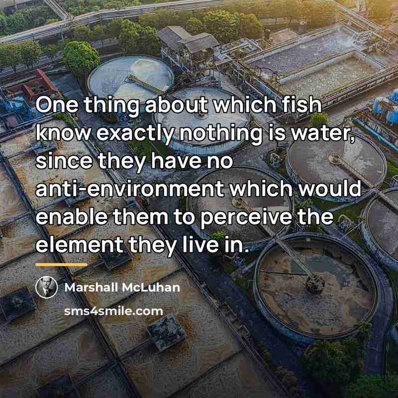 “One thing about which fish know exactly nothing is water,…” quote by Marshall McLuhan