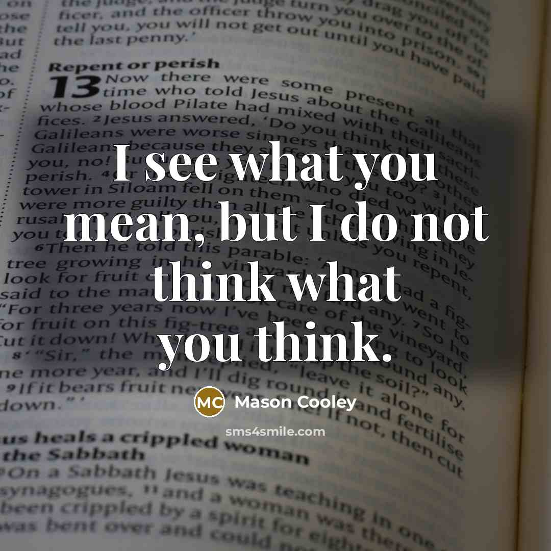 “I see what you mean, but I do not think…” quote by Mason Cooley