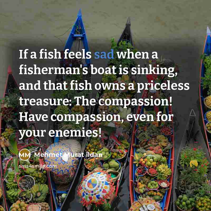 “If a fish feels sad when a fisherman's boat is…” quote by Mehmet Murat Ildan