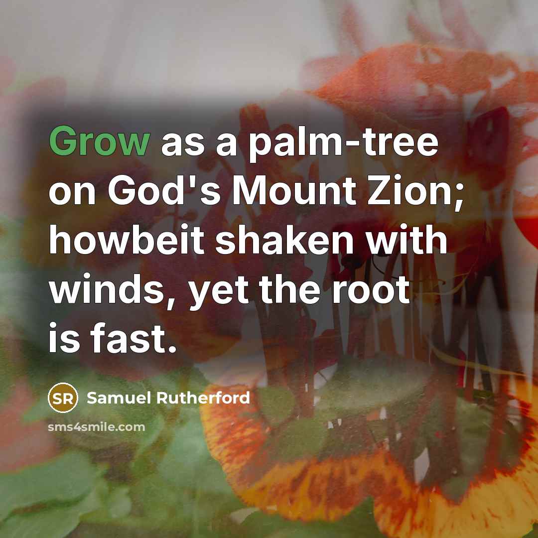 “Grow as a palm-tree on God's Mount Zion; howbeit shaken…” quote by Samuel Rutherford