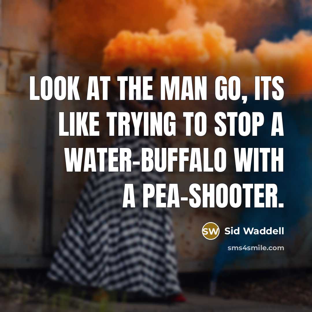 “Look at the man go, its like trying to stop…” quote by Sid Waddell