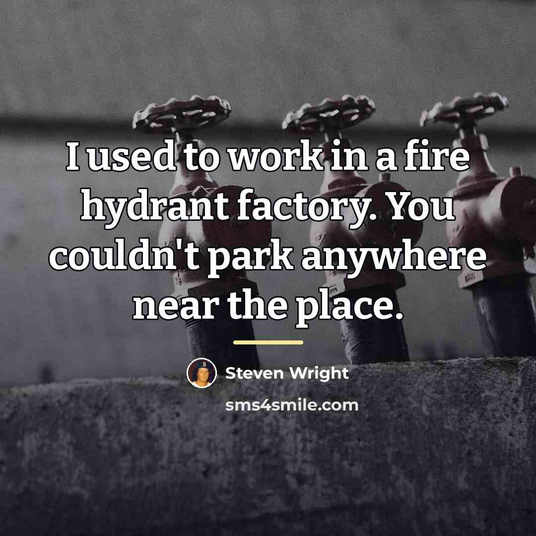 “I used to work in a fire hydrant factory. You…” quote by Steven Wright