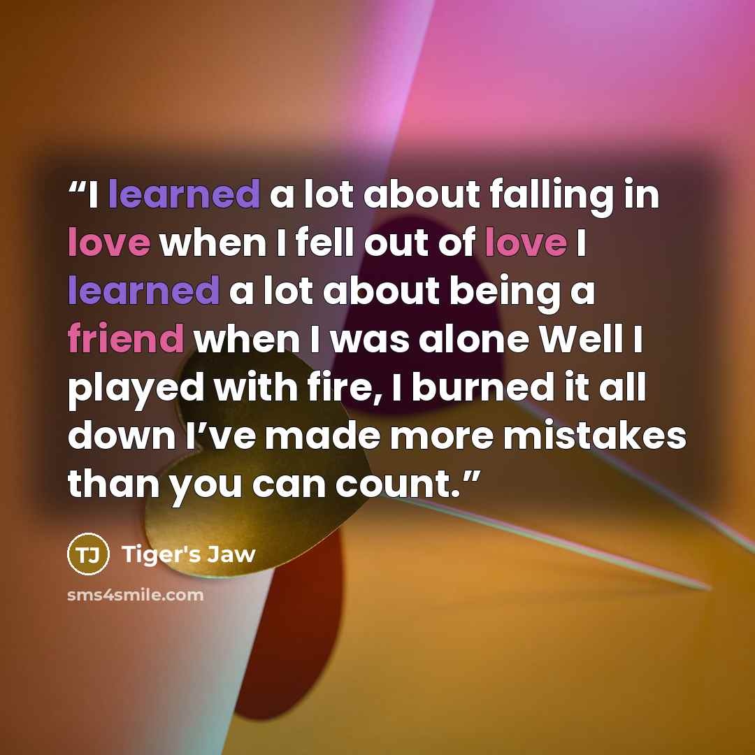 “I learned a lot about falling in love when I fell out of love I learned a lot about being a friend when I was alone Well I played with fire, I burned it all down I’ve made more mistakes than you can count.” quote by Tiger's Jaw