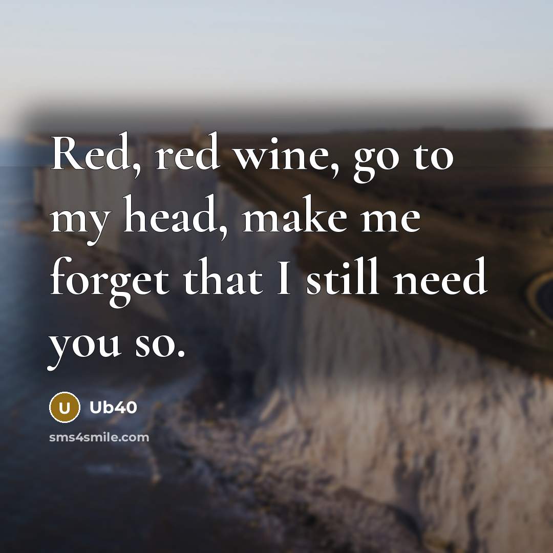 “Red, red wine, go to my head, make me forget…” quote by Ub40