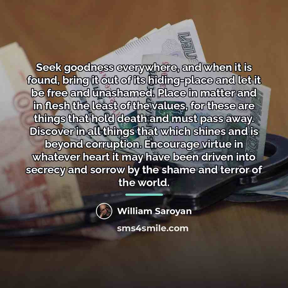 “Seek goodness everywhere, and when it is found, bring it…” quote by William Saroyan
