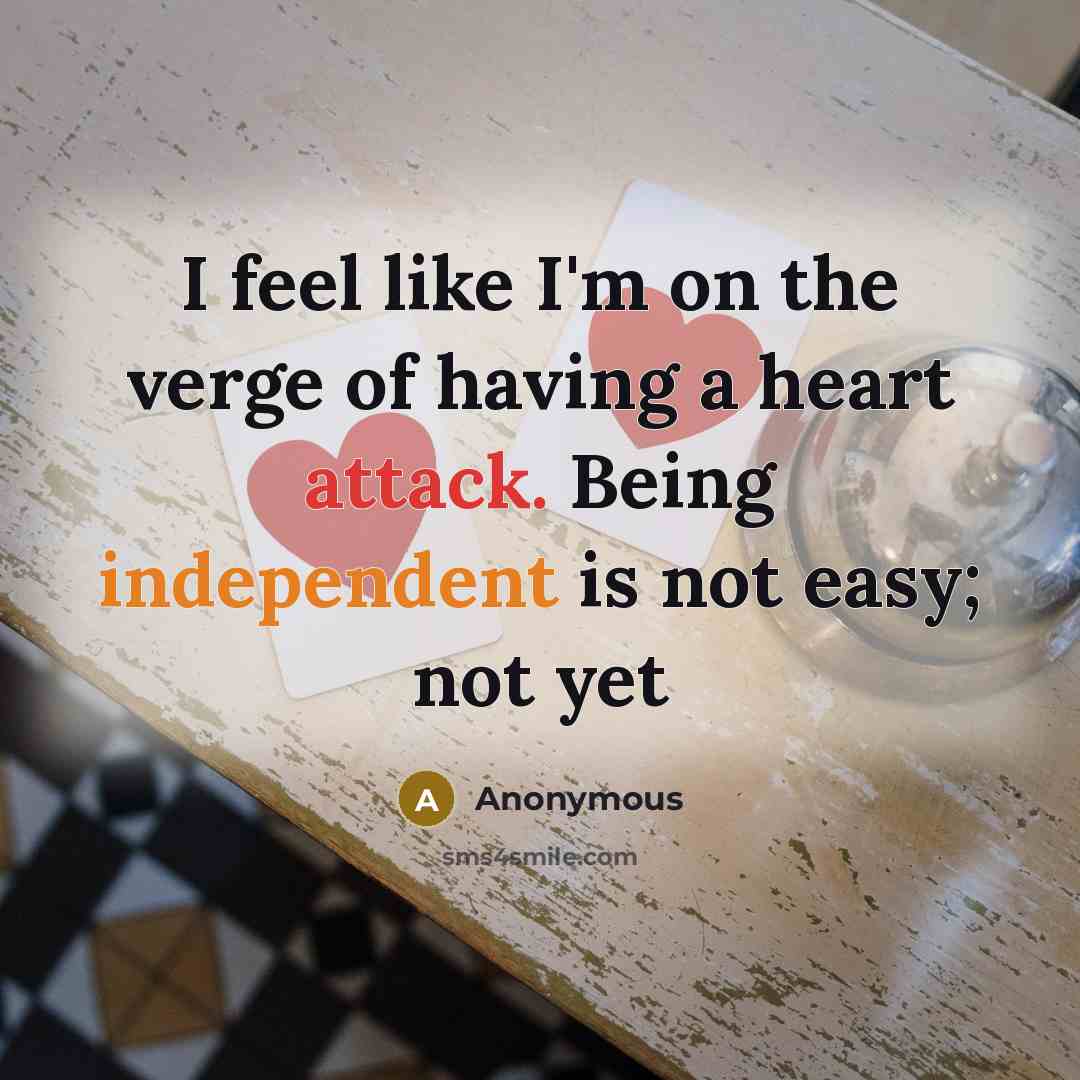 “I feel like I'm on the verge of having a…” quote by Anonymous