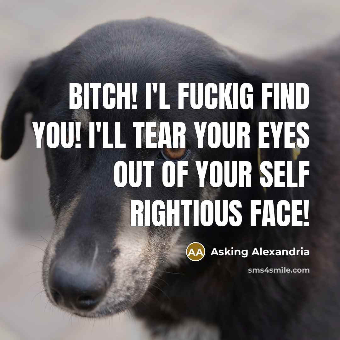 “Bitch! I'l Fuckig find you! I'll tear your eyes out of your self rightious face!” quote by Asking Alexandria