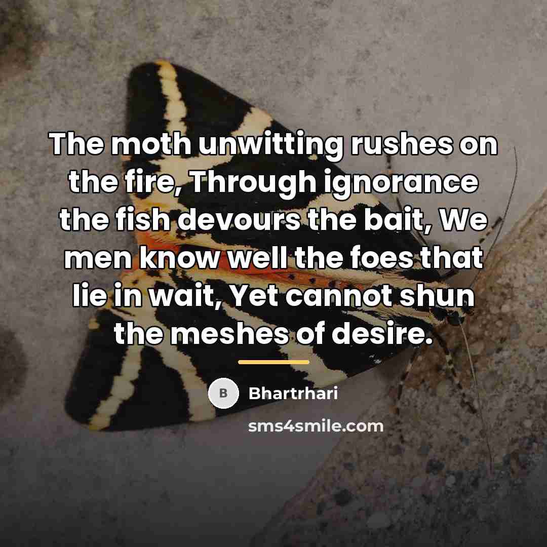 “The moth unwitting rushes on the fire, Through ignorance the…” quote by Bhartrhari