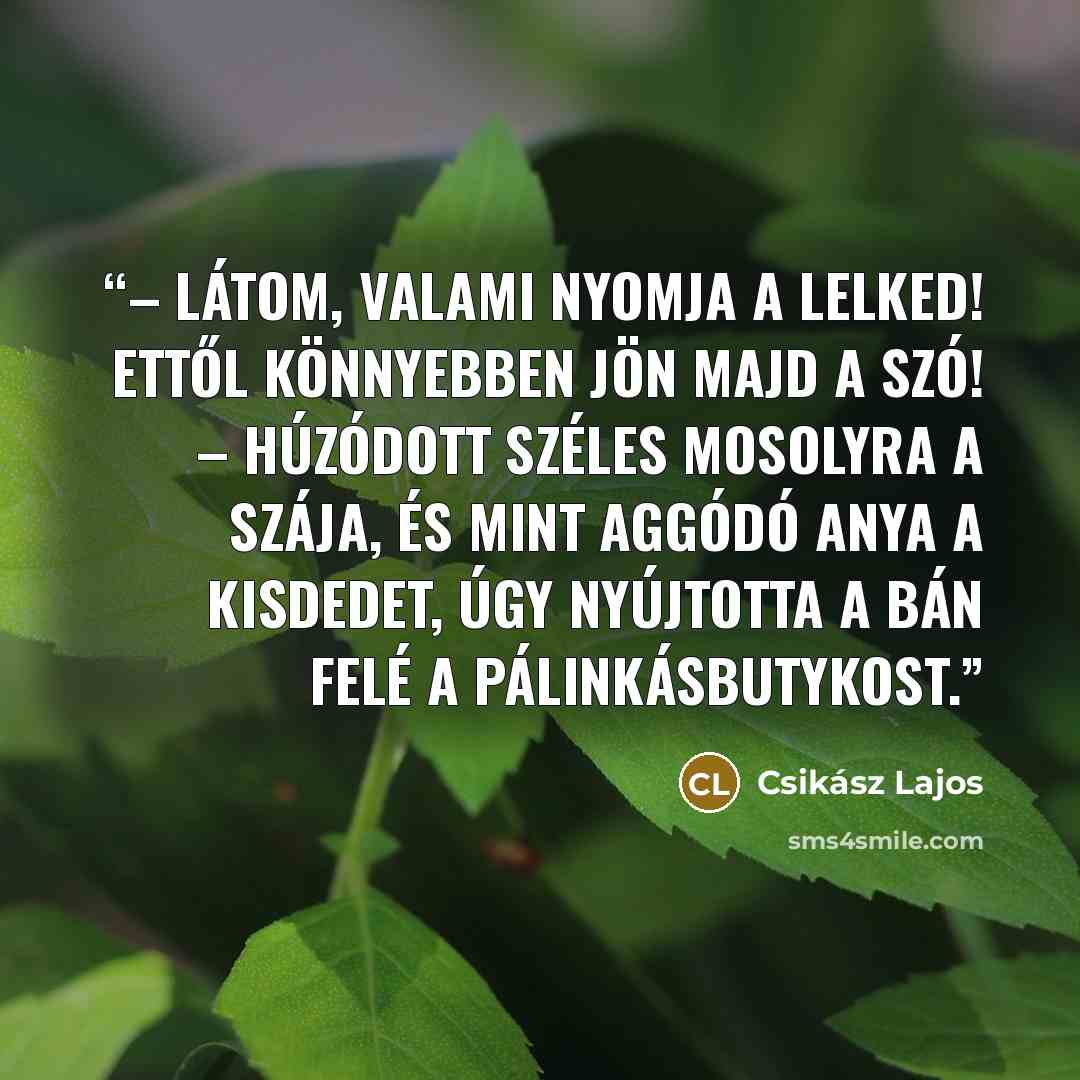 “– Látom, valami nyomja a lelked! Ettől könnyebben jön majd a szó! – húzódott széles mosolyra a szája, és mint aggódó anya a kisdedet, úgy nyújtotta a bán felé a pálinkásbutykost.” quote by Csikász Lajos