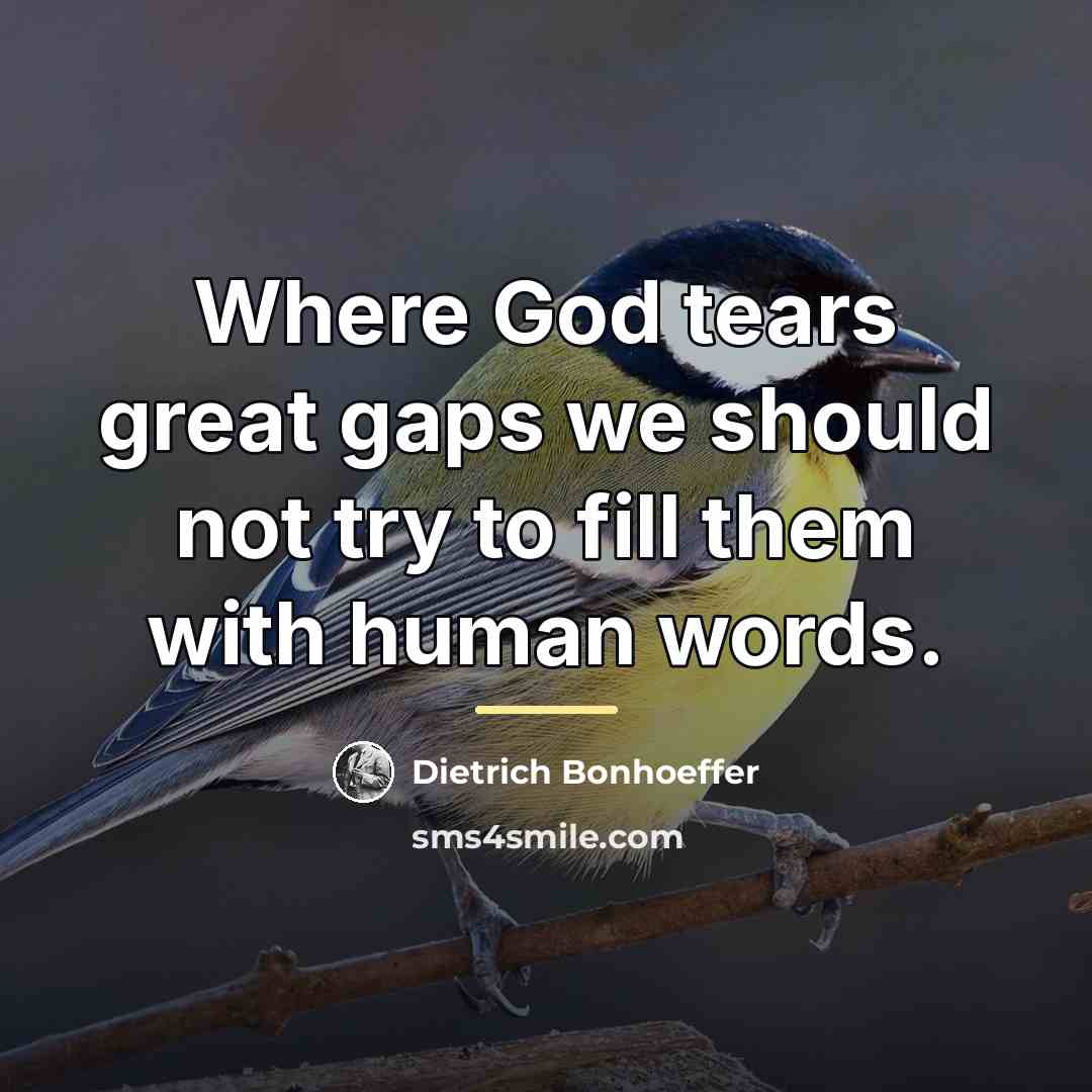 “Where God tears great gaps we should not try to…” quote by Dietrich Bonhoeffer