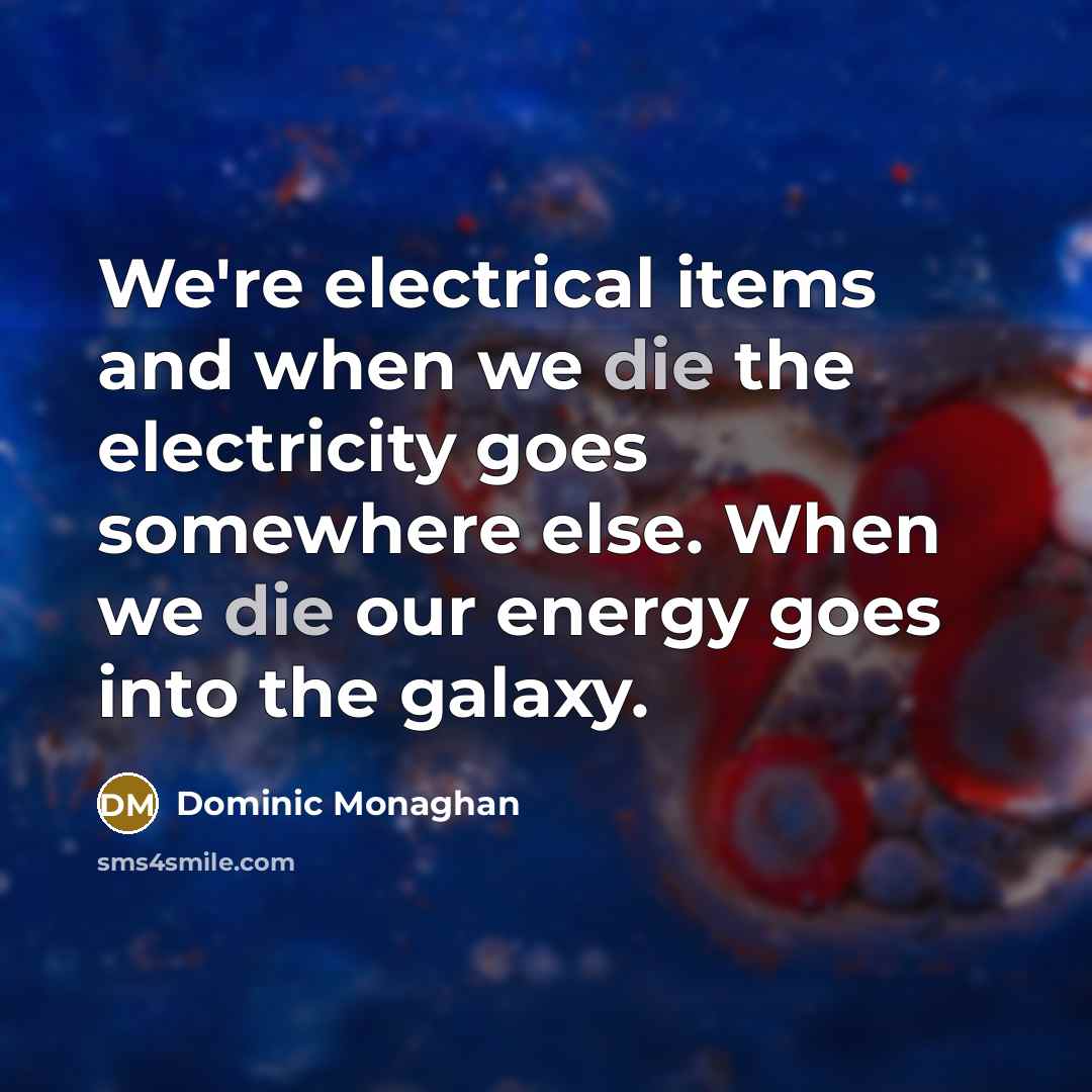 “We're electrical items and when we die the electricity goes…” quote by Dominic Monaghan