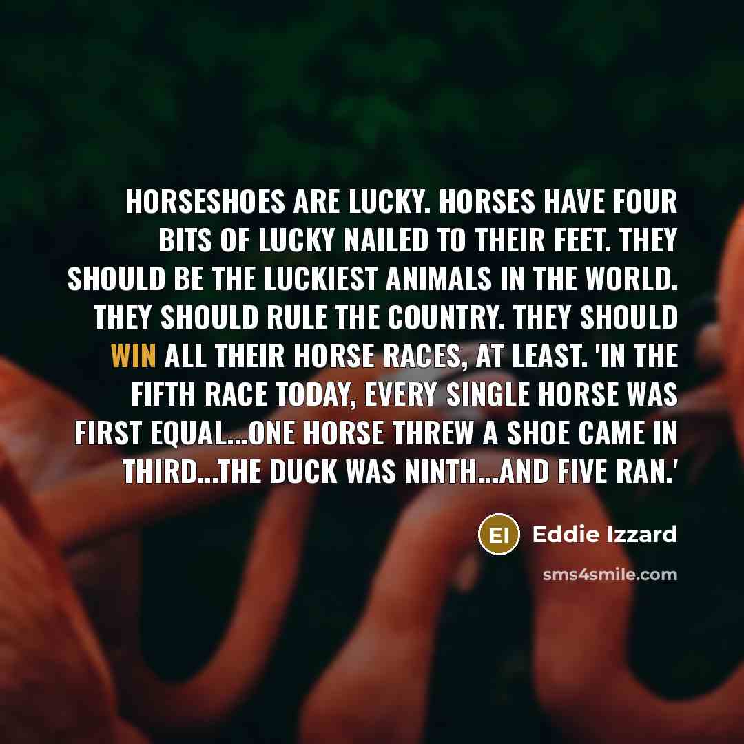 “Horseshoes are lucky. Horses have four bits of lucky nailed…” quote by Eddie Izzard