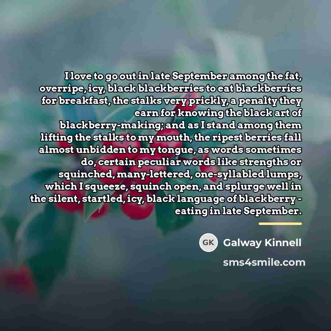 “I love to go out in late September among the…” quote by Galway Kinnell