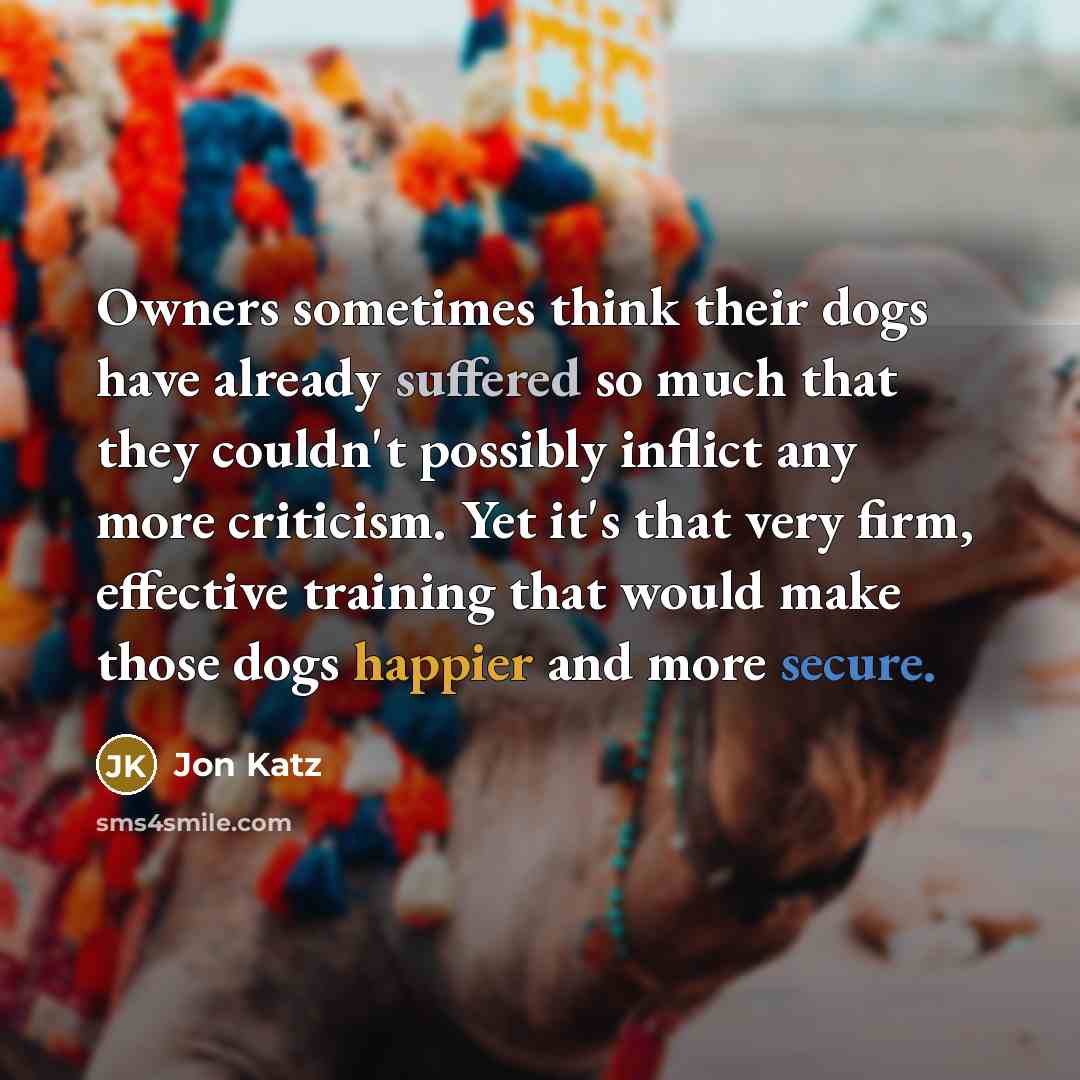 “Owners sometimes think their dogs have already suffered so much that they couldn't possibly inflict any more criticism. Yet it's that very firm, effective training that would make those dogs happier and more secure.” quote by Jon Katz