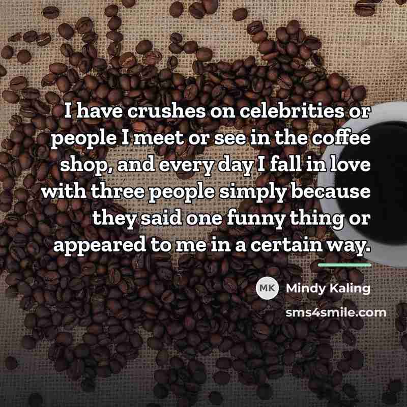 “I have crushes on celebrities or people I meet or…” quote by Mindy Kaling