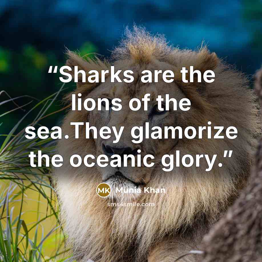 “Sharks are the lions of the sea.They glamorize the oceanic glory.” quote by Munia Khan