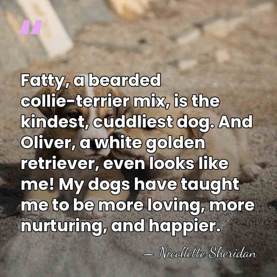 Fatty, a bearded collie-terrier mix, is the kindest, cuddliest dog. And Oliver,&hellip; - Nicollette Sheridan