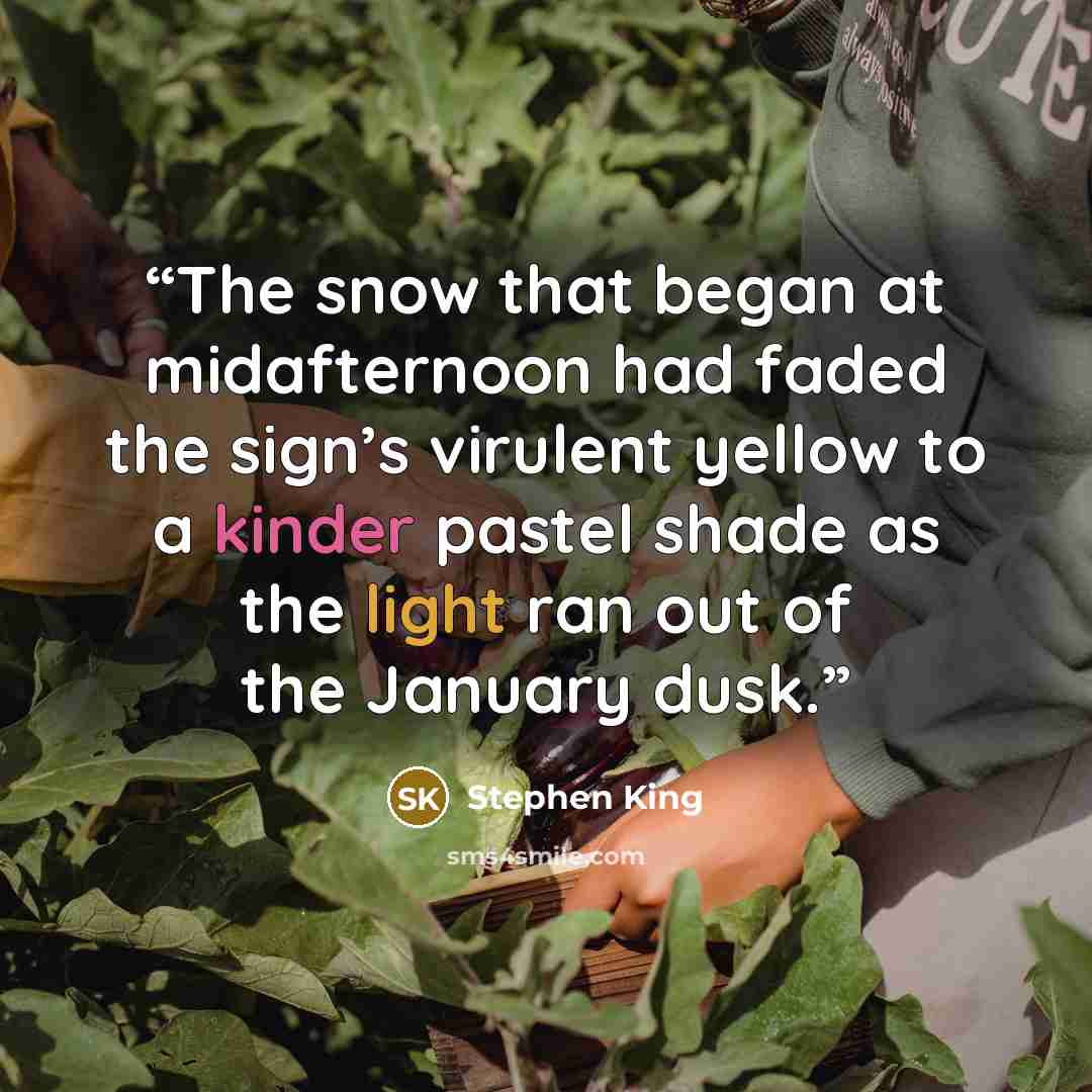 “The snow that began at midafternoon had faded the sign’s virulent yellow to a kinder pastel shade as the light ran out of the January dusk.” quote by Stephen King