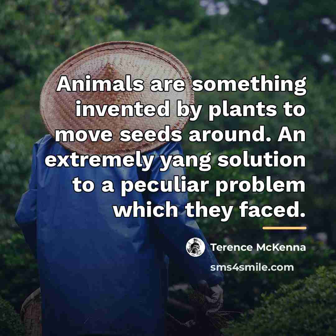 “Animals are something invented by plants to move seeds around.…” quote by Terence McKenna