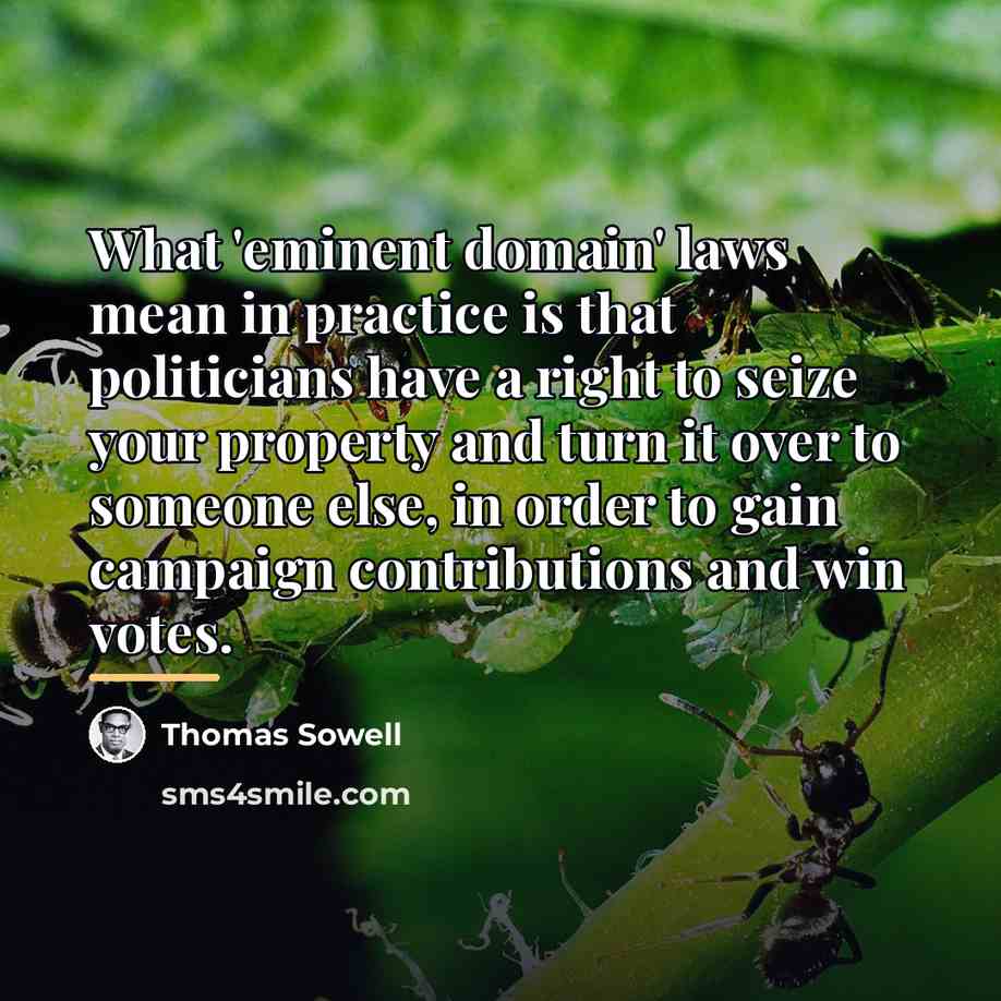 “What 'eminent domain' laws mean in practice is that politicians…” quote by Thomas Sowell