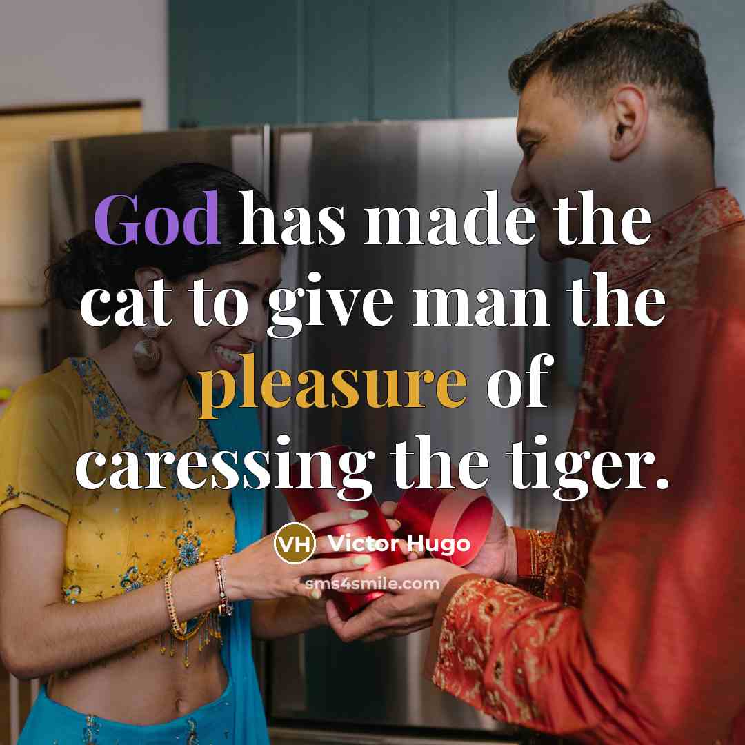 “God has made the cat to give man the pleasure…” quote by Victor Hugo