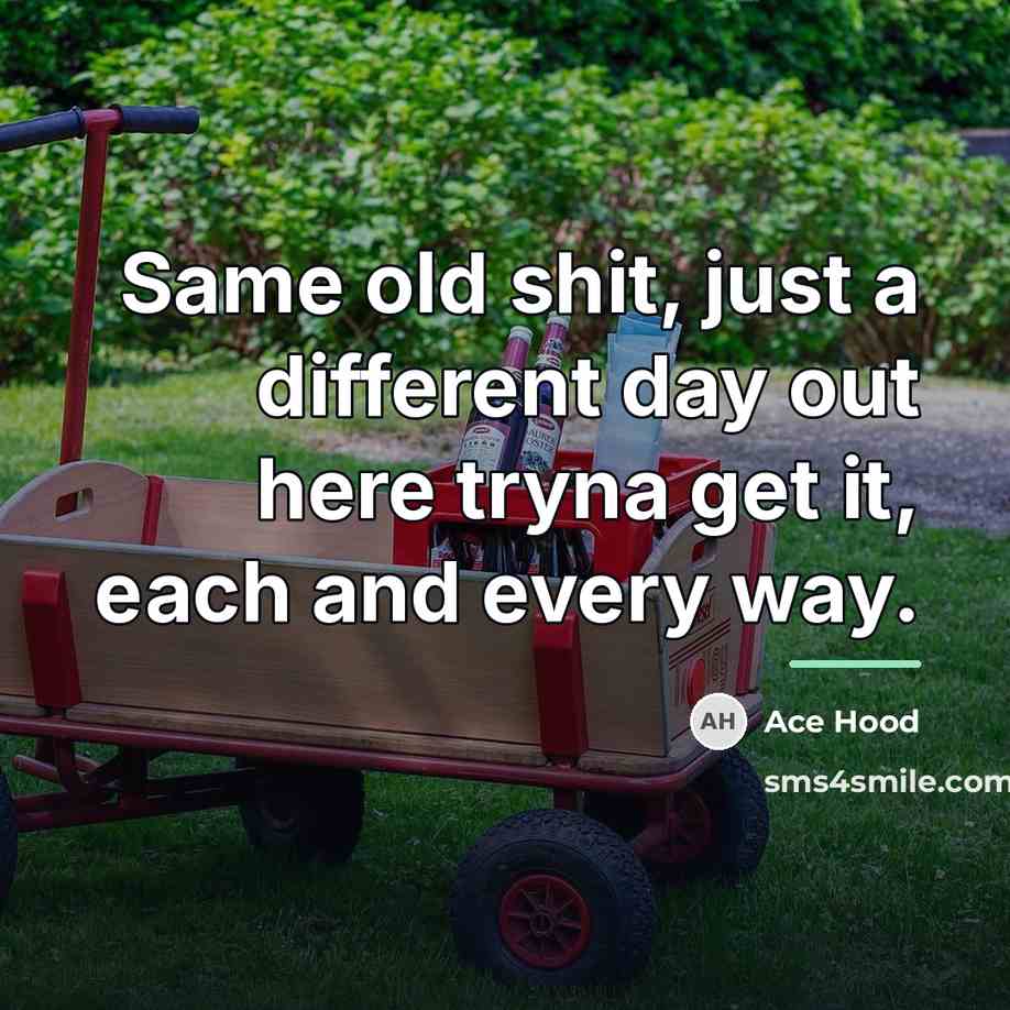 “Same old shit, just a different day out here tryna…” quote by Ace Hood